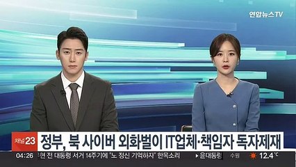 정부, 북 사이버 외화벌이 IT업체·책임자 독자제재