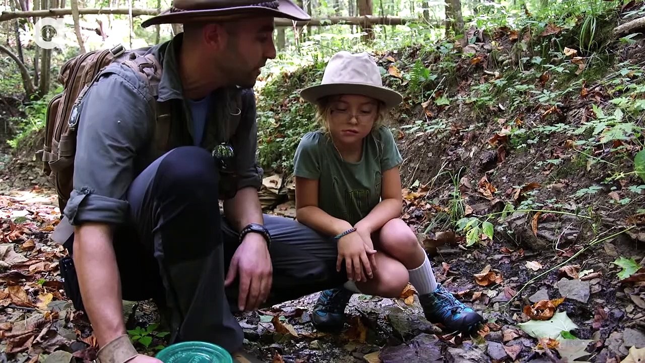 Searching for Newts and Salamanders