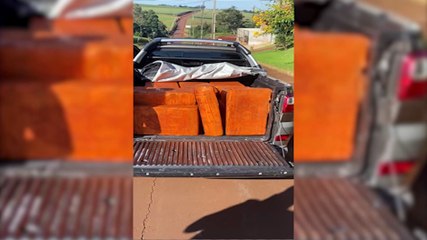 Mulher é detida com quase meia tonelada de maconha em Toledo