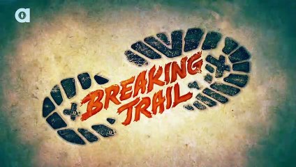 The Cottonmouth and Coral Snake Combo!