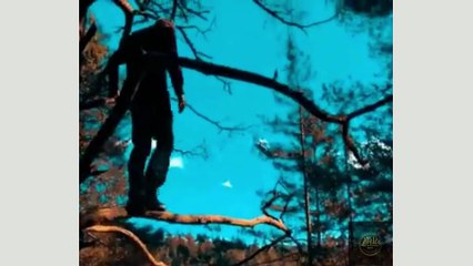 Laugh Riot Extravaganza: A Medley of Side-Splitting Moments Packed into Few Bites!ENJOY!