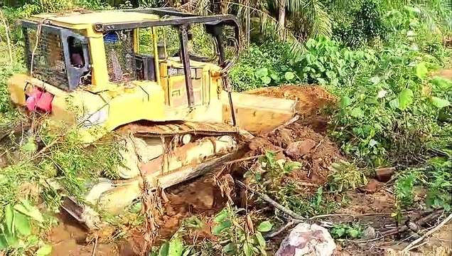 D6R XL Bulldozer Heavy Equipment Makes Roads in Oil Palm Plantations