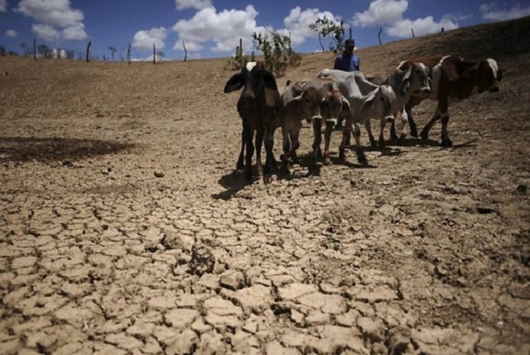 68 cidades do sertão estão na lista do Governo como situação de emergência devido à estiagem