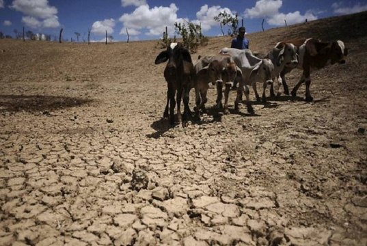 68 cidades do sertão estão na lista do Governo como situação de emergência devido à estiagem