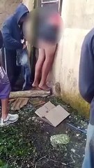 Ladrão entala e fica só de cueca durante roubo a mercearia; veja vídeo