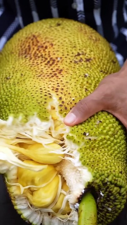 Jack fruit lassi