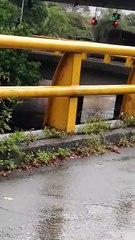 Inundación deprimido Coca-Cola