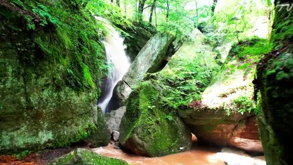 Calming Music for Mindful Moments