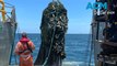 'Ghost nets' threaten endangered species off Gulf of Carpentaria