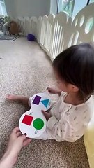 Lisa phân biệt được các hình dạng