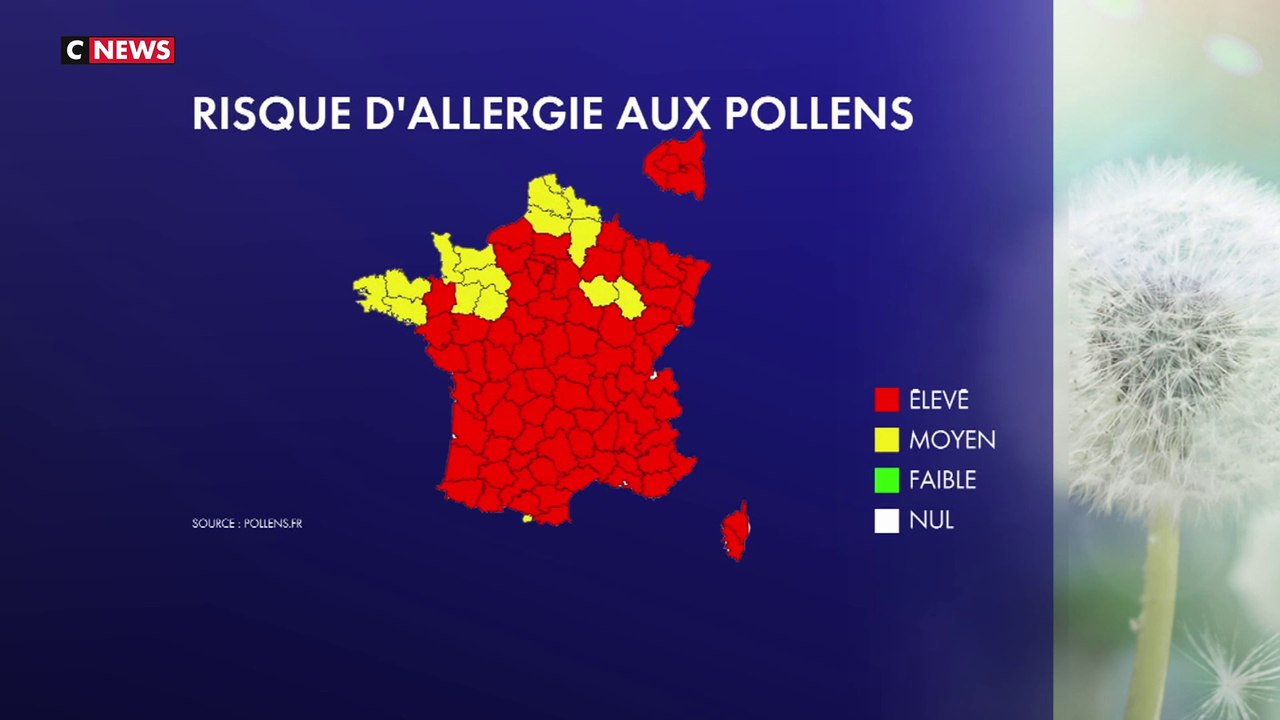 Allergies aux pollens : 81 départements placés en alerte rouge