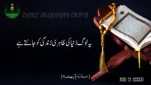 Alquran Surah Rum Ayat7,8 Short Urdu Translation Video