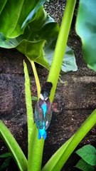 Hilarious Full Fail Compilation | Try Not to Laugh Challenge 😂