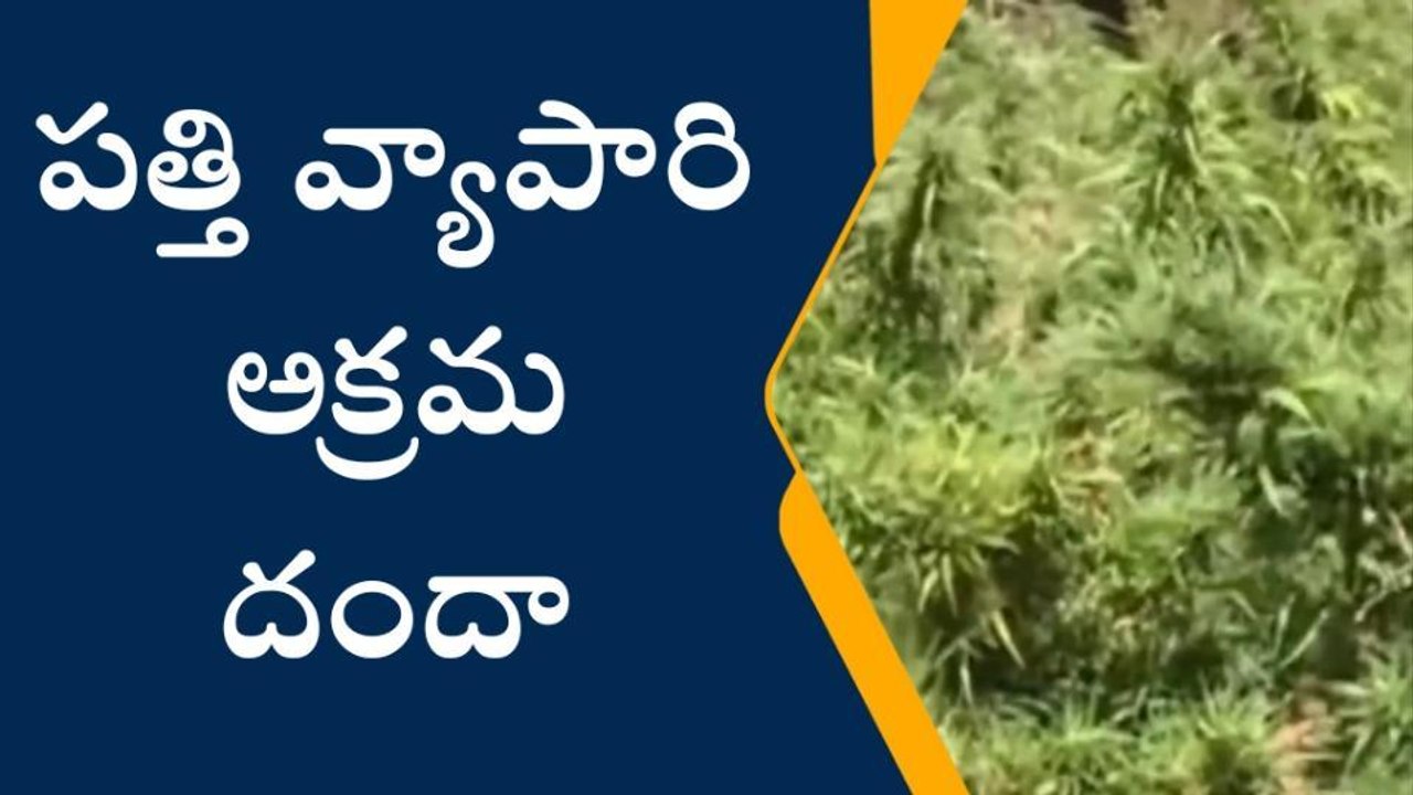 ఆసిఫాబాద్: పత్తి వ్యాపారి అక్రమ దందా