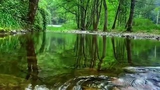 Nature and Quran recitation.. REAL ISLAM #nature #Quran #viralvideo