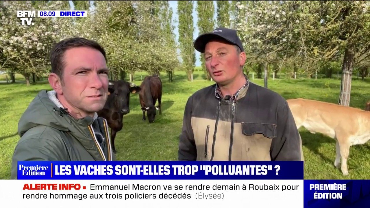 "Avec l'alimentation, on arriver à baisser" les émission de méthanes, selon cet éleveur de vaches