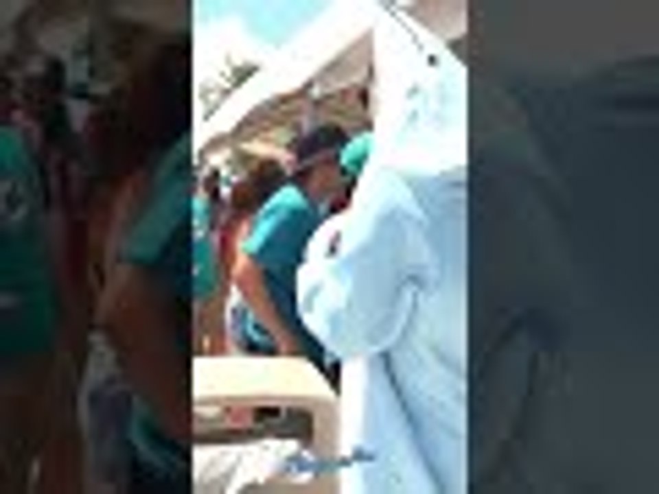 Mascots tryouts for the Miami Dolphins  | #Shorts