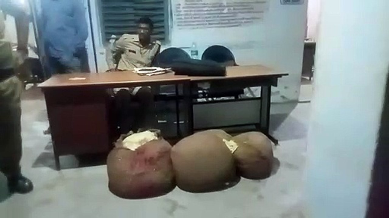डेयरी पर मिला मावा, दूध व सोयाबीन तेल, संचालक गिरफ्तार