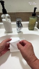 Toilet Paper Turned Into Impressive Art || Best of Internet