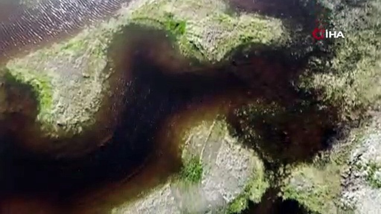 Bu adalar 2006'da tespit edildi! Yüzen adalar görenleri mest ediyor