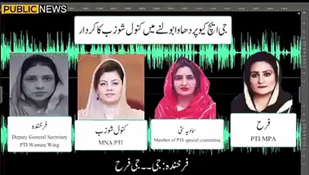 Pakistan tehreek insaf ki khawateen karkun ki audio manzre aam pr aa gai | Public News