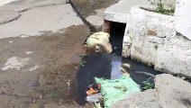 नाली चोक होने से बीच सड़क पर बह रहा गंदा पानी