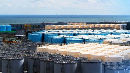 [뉴스큐] 후쿠시마 '시찰' 실효성 논란...日, '수입 재개' 압박 본격화? / YTN