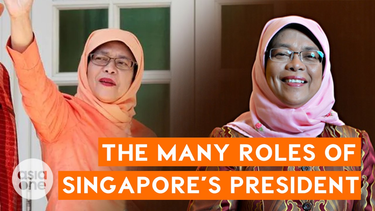 The role of the Singapore President | TLDR