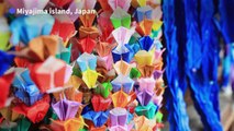 The second life of Hiroshima's origami cranes