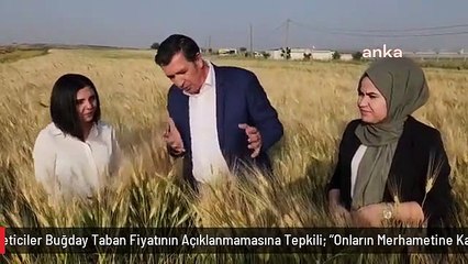 Üreticiler Buğday Taban Fiyatının Açıklanmamasına Tepkili: "Onların Merhametine Kalmış Durumdayız"