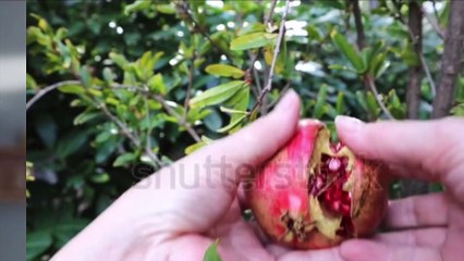 পাতলা পায়খানা বন্ধ করার উপায়-Patla paikhana hole ki korbo-loose motion home remedies-diarrhoea hole ki khawa uchit