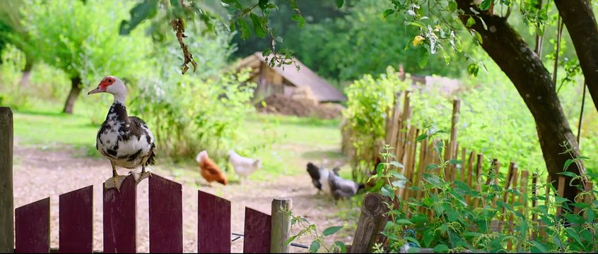 Les Blagues de Toto 2 : Classe verte - la bande-annonce de la suite (VF)