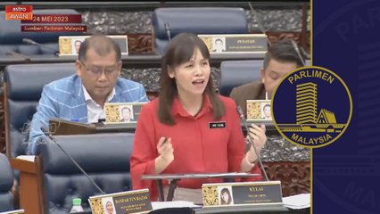 Tidak salah PM ada artis kegemaran - Teo Nie Ching