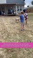 Exciting Soccer Gender Reveal Idea || Heartsome