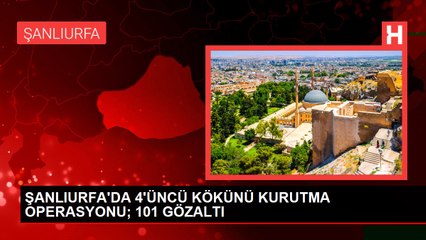 ŞANLIURFA'DA 4'ÜNCÜ KÖKÜNÜ KURUTMA OPERASYONU; 101 GÖZALTI