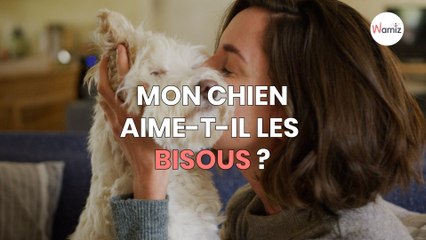Mon chien aime-t-il les bisous ?