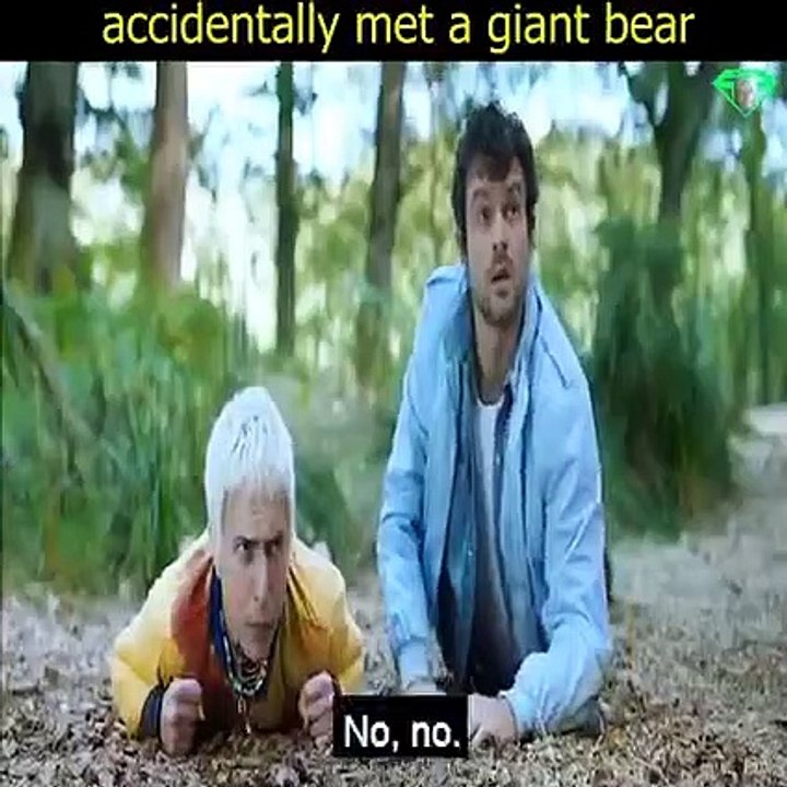 Giant bear