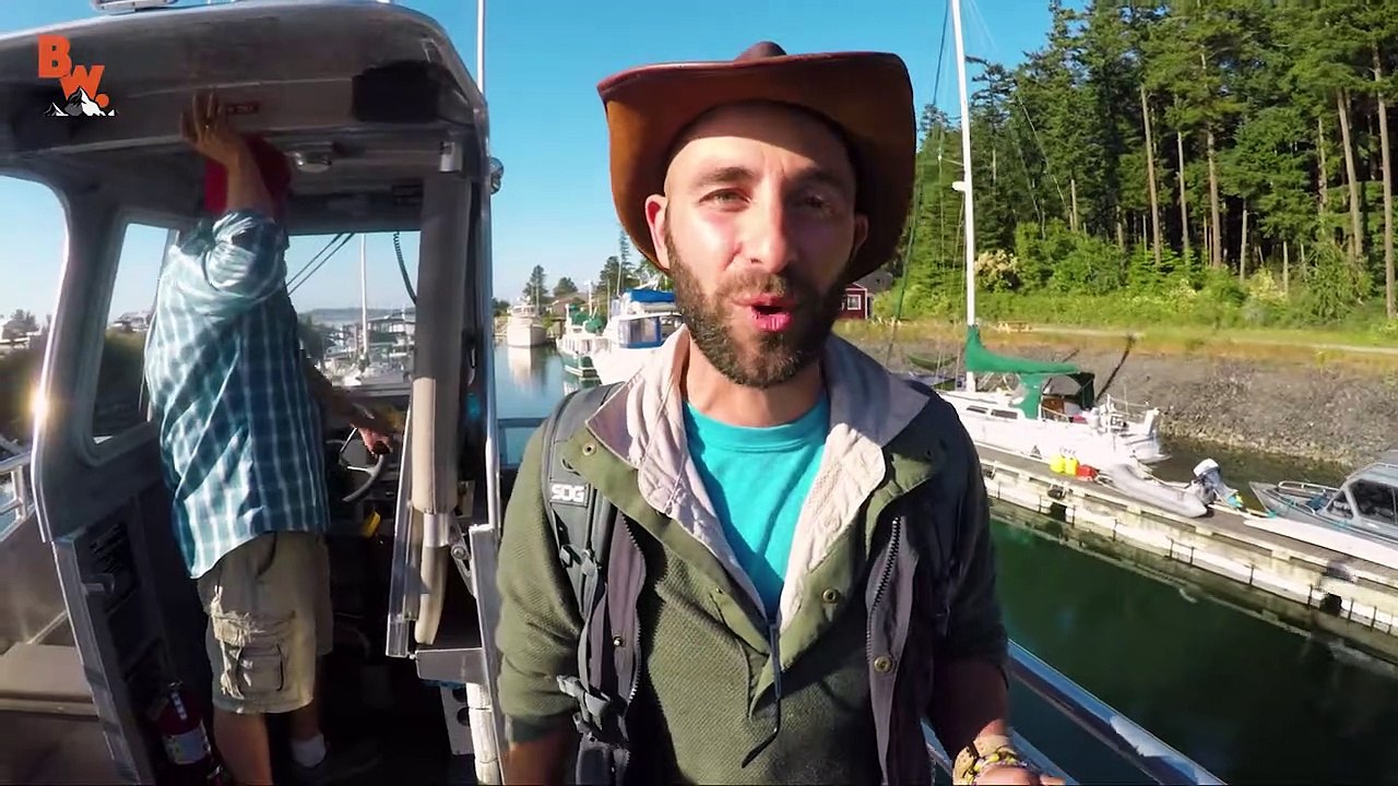 Surrounded by KILLER WHALES!