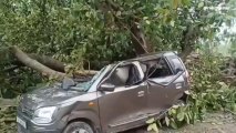बिजनौर: आंधी तूफान ने ली एक मौलाना की जान, गाड़ी पर कहर बनकर गिरा पेड़