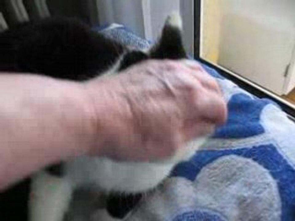 J'aime les câlins...