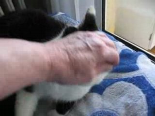 J'aime les câlins...