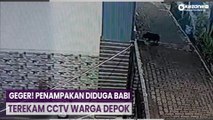 Geger! Penampakan Diduga Babi Terekam CCTV Warga Depok