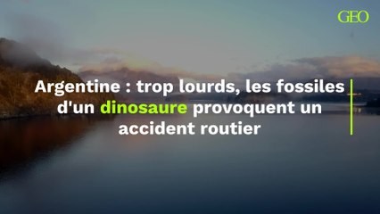 Trop lourds, les fossiles d’un dinosaure provoquent un accident routier en Argentine