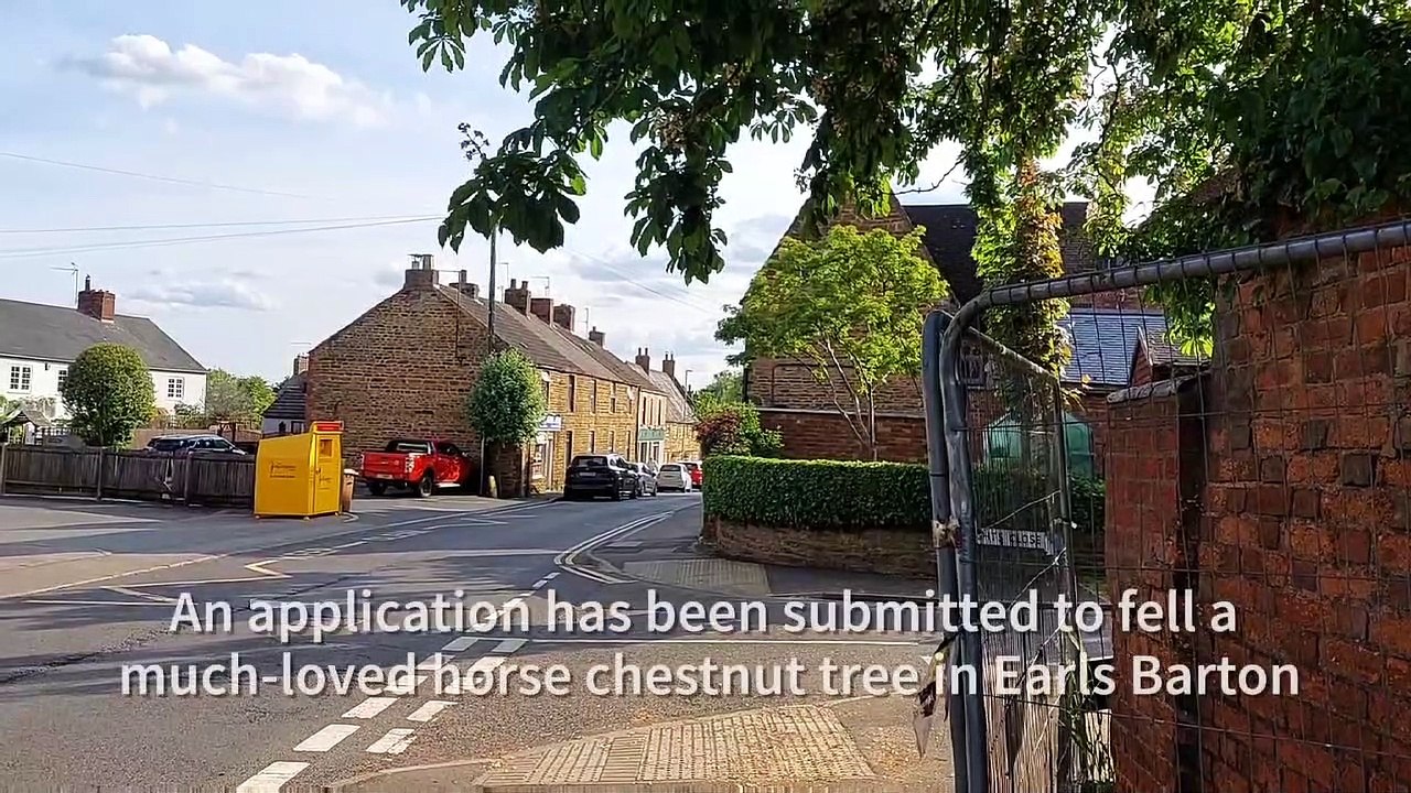 Earls Barton Horse Chestnut video Dailymotion