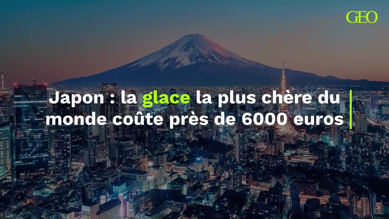 Japon la glace la plus chère du monde coûte près de 6000 euros Vidéo Dailymotion