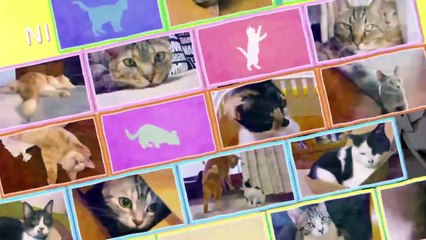 Kanban Neko - かんばん猫 - The Poster Cats - E3