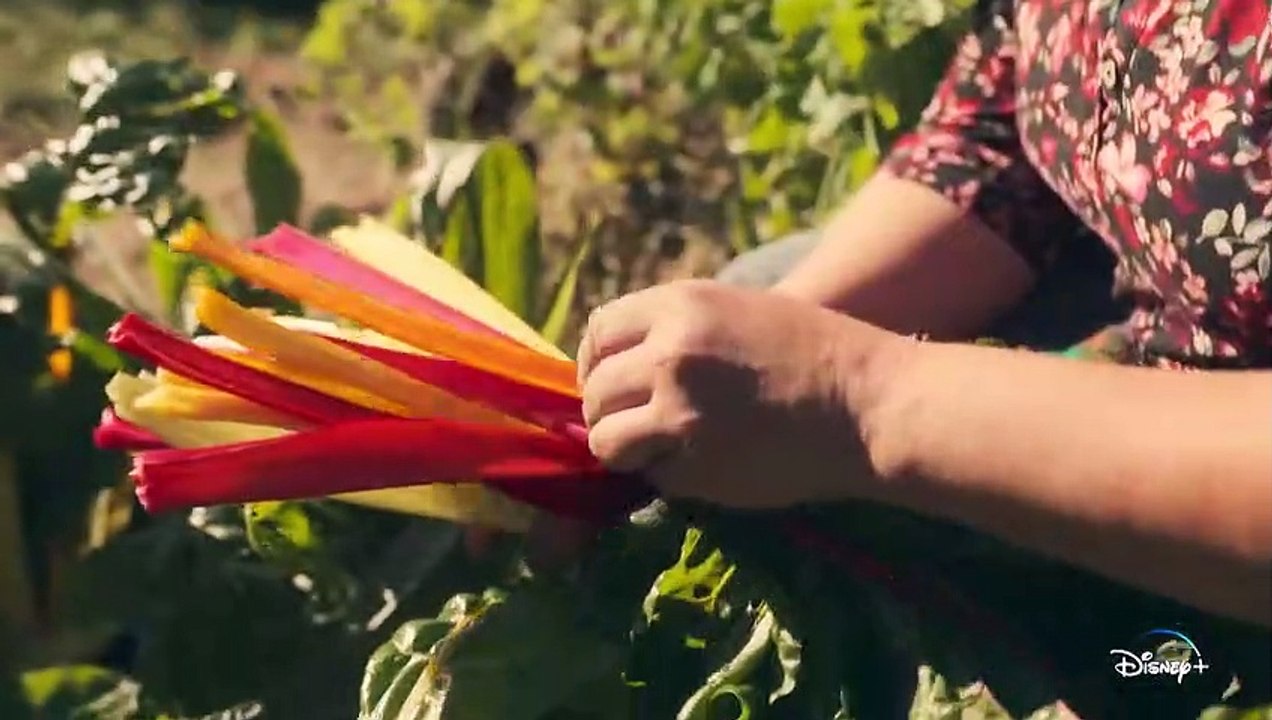 Farm Rebellion Trailer DF