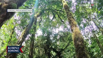 50 Persen Wilayah Yang Miliki Keanekaragaman Hayati Tinggi Tidak Termasuk Kawasan Konservasi