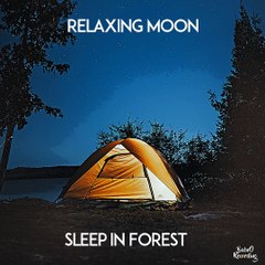 Sleep in forest  Musique Relaxante Libre de Droit 