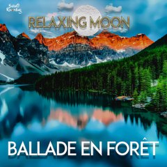 Ballade en forêt  Musique Relaxante Libre de Droit 